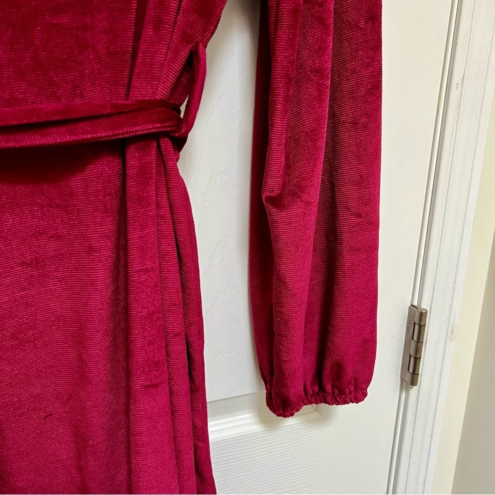 Red Velvet Jewel Toned Dress 🎀 - Picture 7 of 10